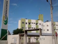 #143 - Apartamento para Locação em Campos Novos - SC - 1