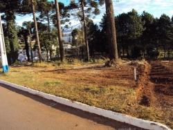 #499 - Área para Venda em Campos Novos - SC - 2