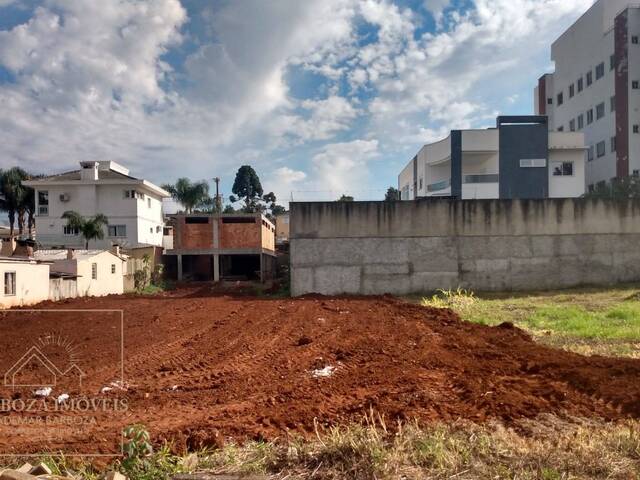 #608 - Terreno para Venda em Campos Novos - SC - 3