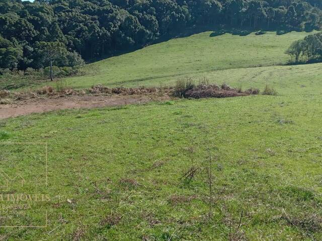#653 - Chácara para Venda em Campos Novos - SC - 2