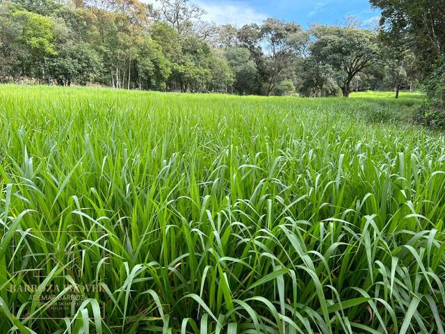 #656 - Chácara para Venda em Campos Novos - SC - 3