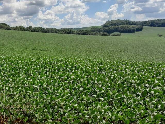 #676 - Fazenda para Venda em Campos Novos - SC - 2