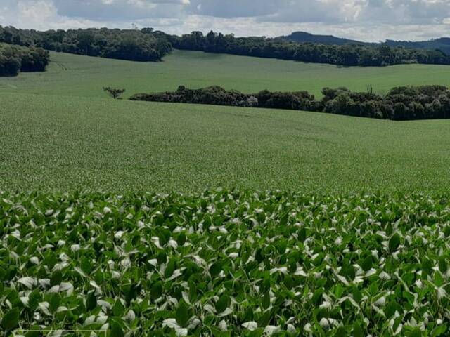 #676 - Fazenda para Venda em Campos Novos - SC