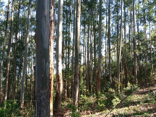 #612 - Chácara para Venda em Campos Novos - SC