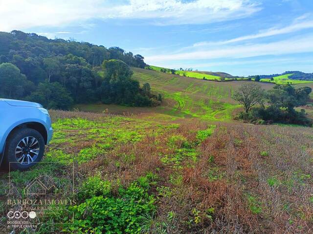 #697 - Fazenda para Venda em Campos Novos - SC - 3