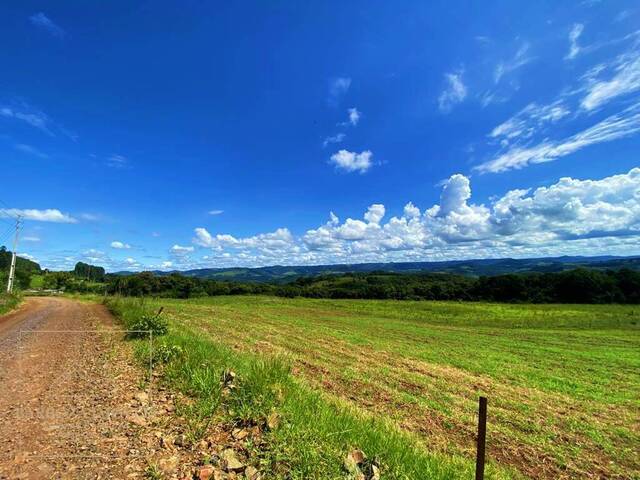 #697 - Fazenda para Venda em Campos Novos - SC - 2