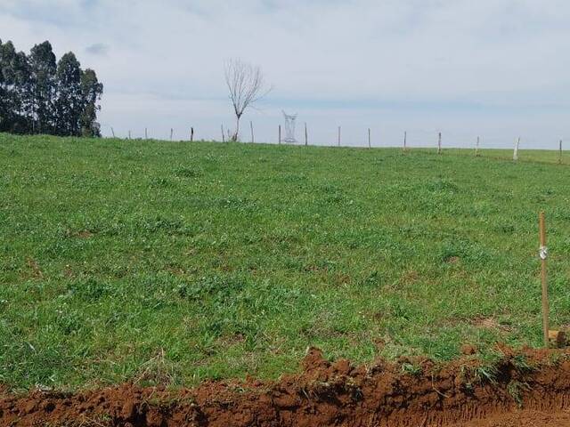 #765 - Área para Venda em Campos Novos - SC - 3