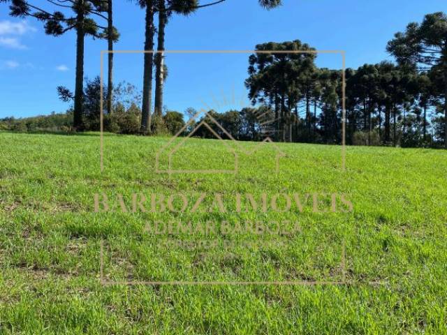 #768 - Fazenda para Venda em Campos Novos - SC - 2