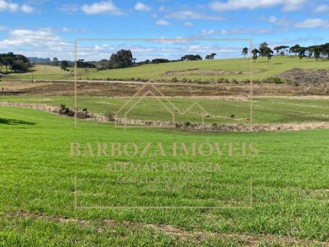 #768 - Fazenda para Venda em Campos Novos - SC - 1