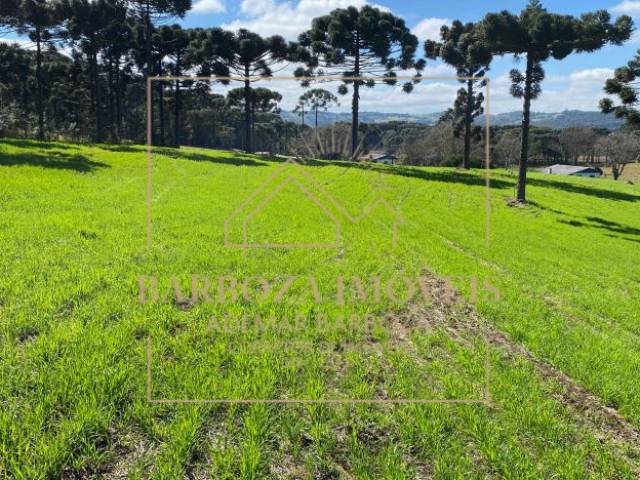 #768 - Fazenda para Venda em Campos Novos - SC - 3