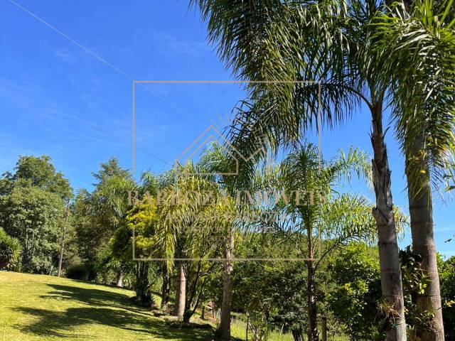 #769 - Sítio para Venda em Campos Novos - SC - 3