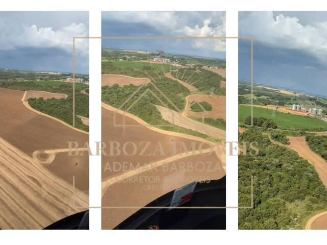 #779 - Fazenda para Venda em Campos Novos - SC - 3