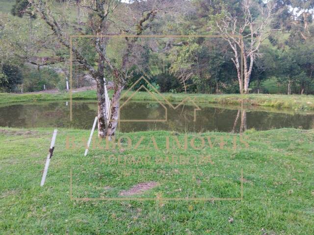 #782 - Fazenda para Venda em Campos Novos - SC - 3