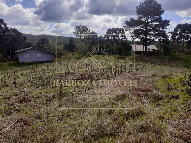 #784 - Sítio para Venda em Campos Novos - SC