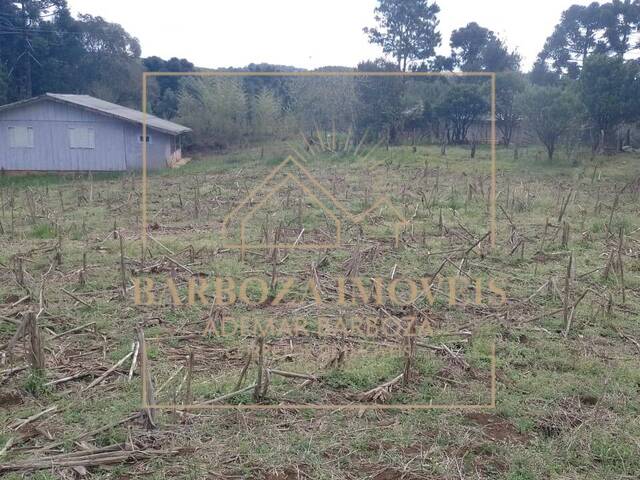 #784 - Sítio para Venda em Campos Novos - SC