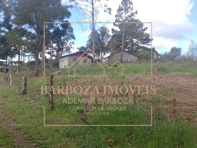 #784 - Sítio para Venda em Campos Novos - SC