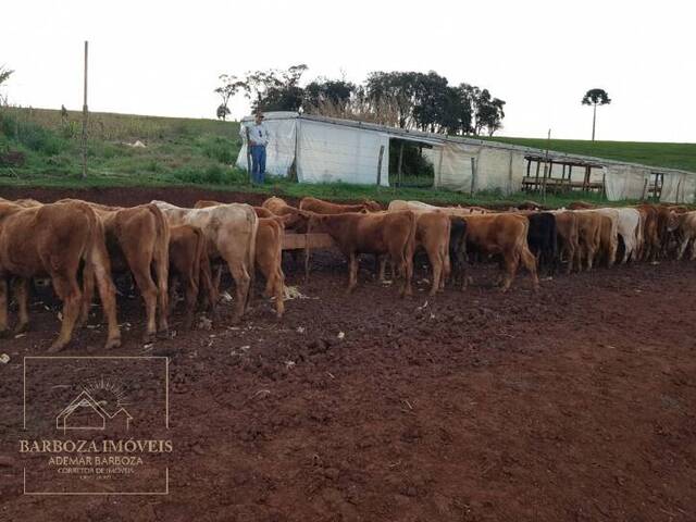 #461 - Fazenda para Venda em Anita Garibaldi - SC - 2